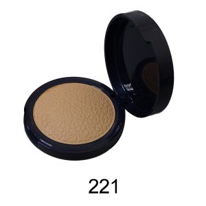 رژگونه هایلایتر 221